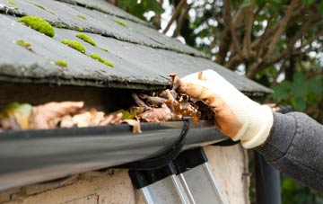 gutter cleaning Torthorwald, Dumfries And Galloway